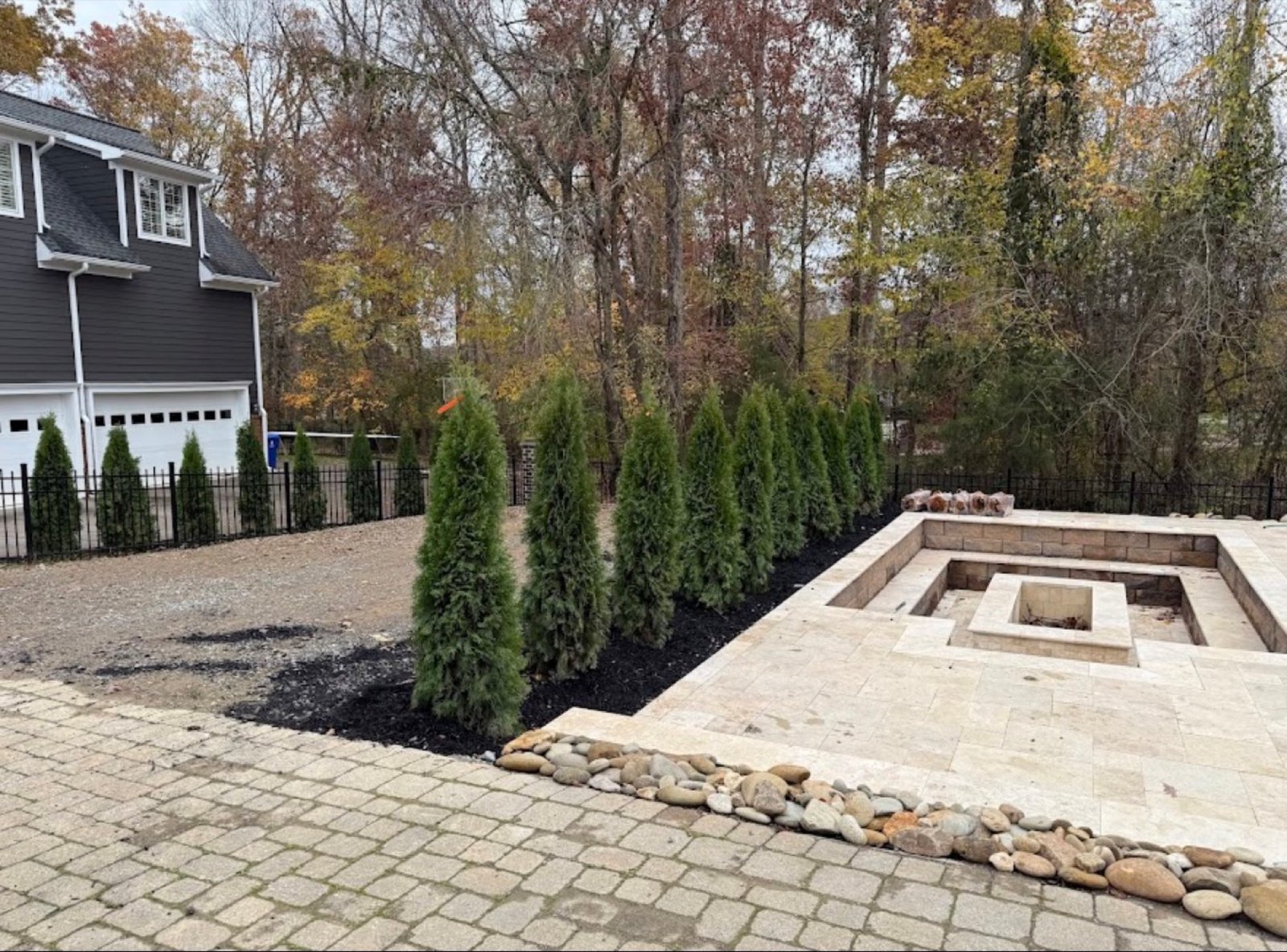 Privacy screen trees with fresh mulch beside a travertine paver patio and fire pit