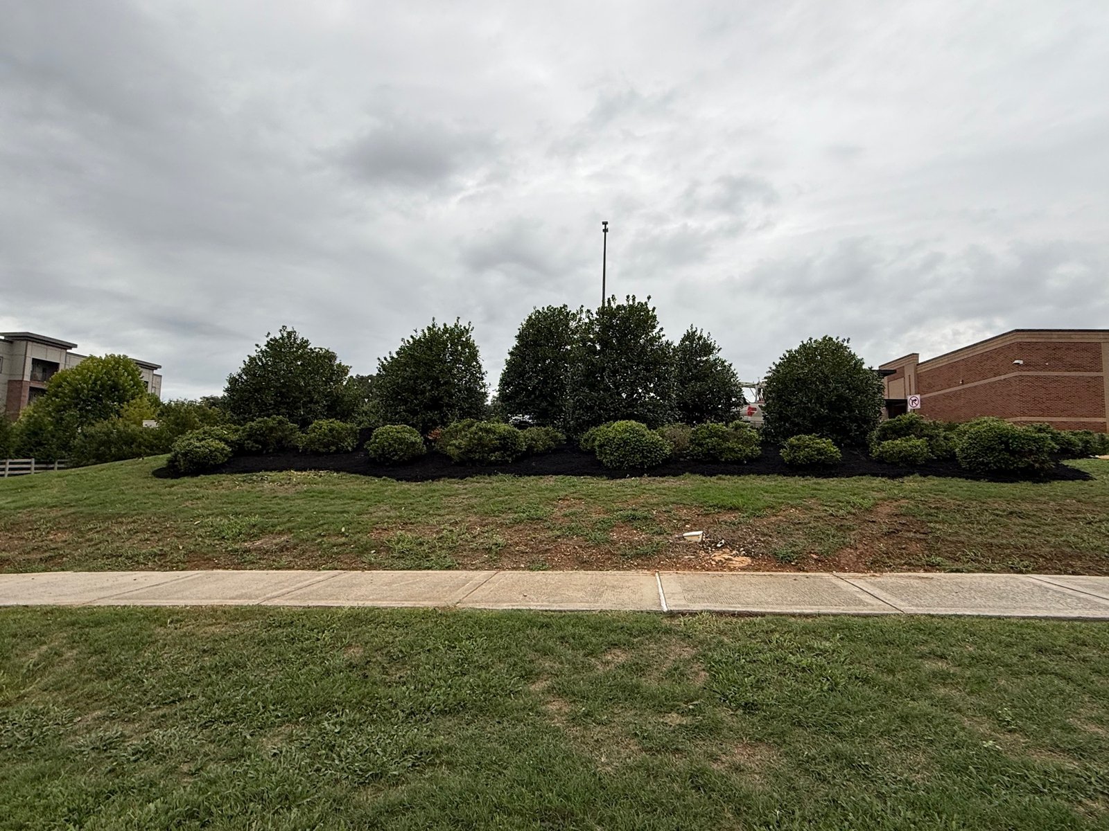 Commercial berm planting with shrubs and mulch