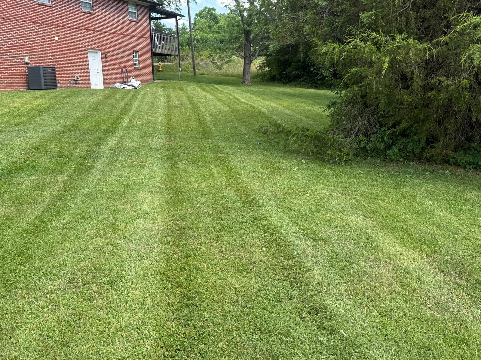 Freshly mowed and striped lawn