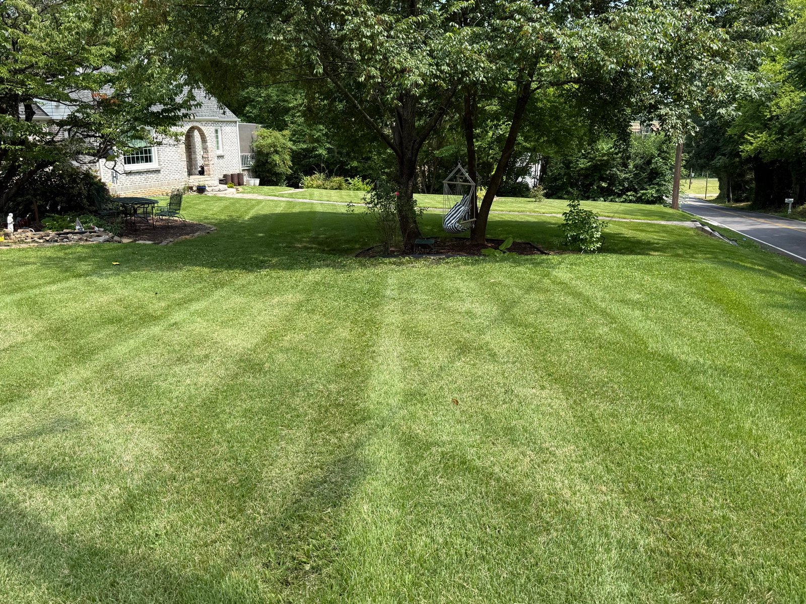 Large lush lawn with fresh mow lines and a shade tree